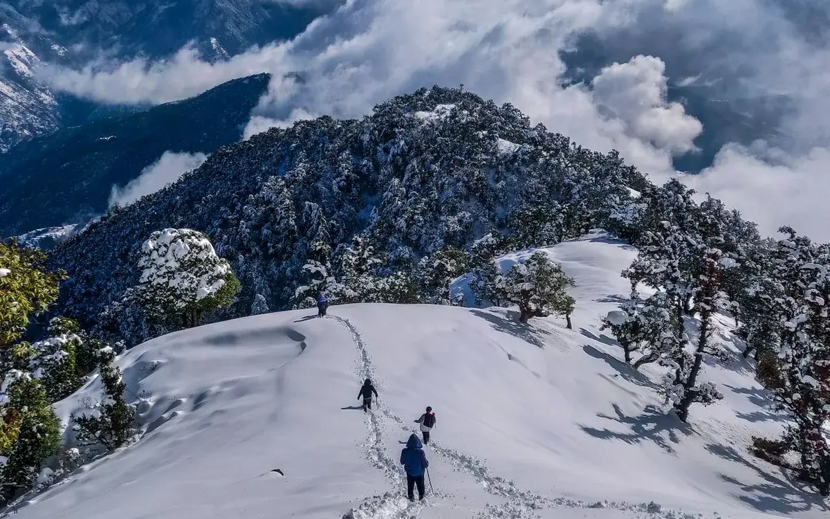 Manali, Himachal Pradesh