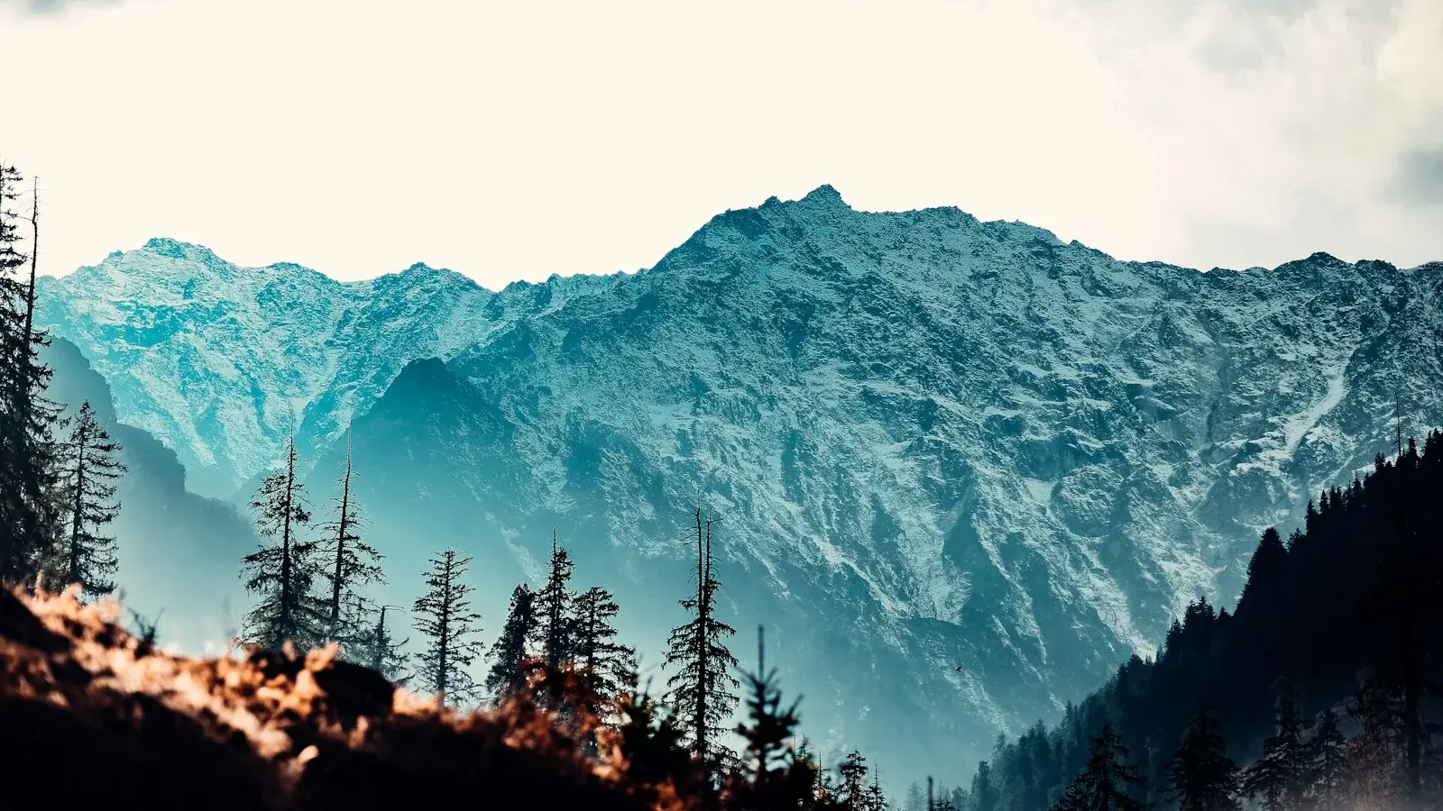 Scenic tour packages across India